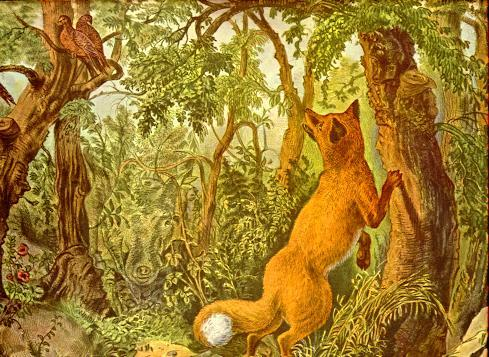 Optical Illusion: Can you spot the hidden animal in this picture? | Illusion March 2024